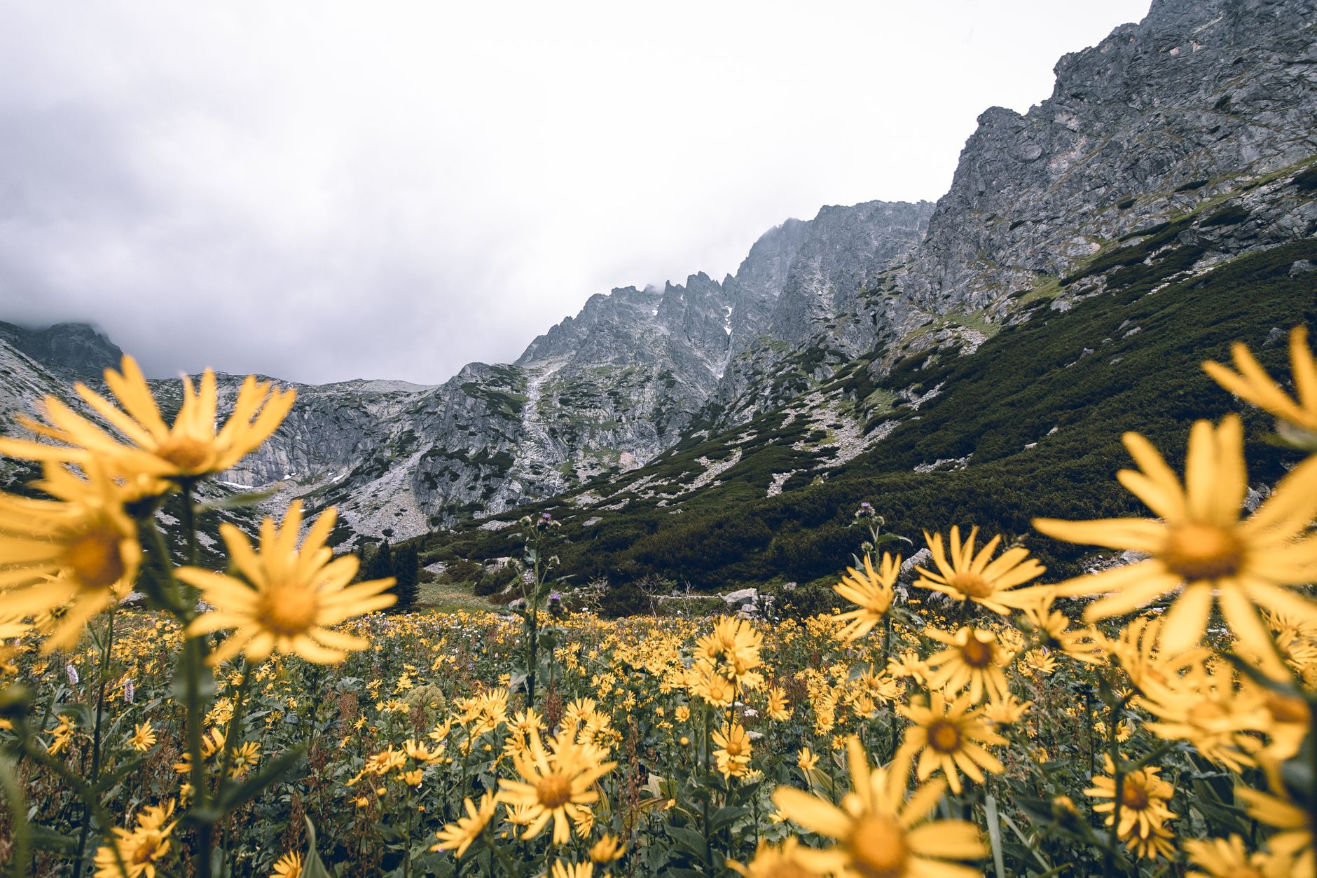 Top Strategies for Improving Emotional Well-Being